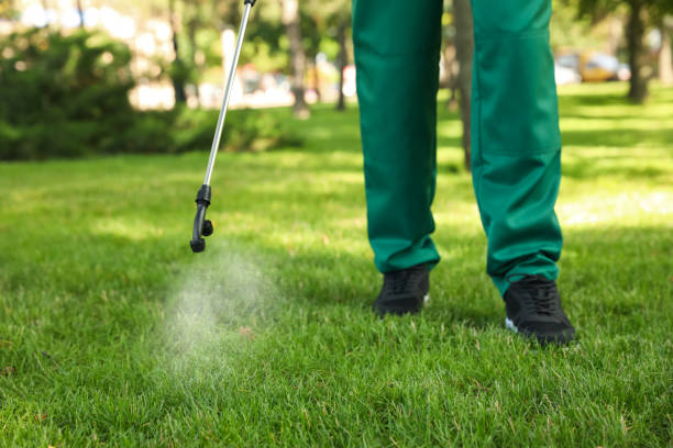 Reliable Reed Creek, GA Pest Control Solutions