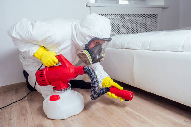 Best Termite Control Services  in Reed Creek, GA