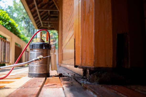 Best Local Pest Control Services  in Reed Creek, GA