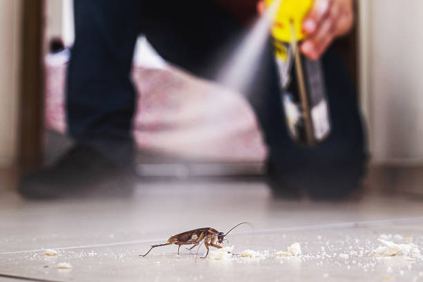Best Exterminator Services  in Reed Creek, GA