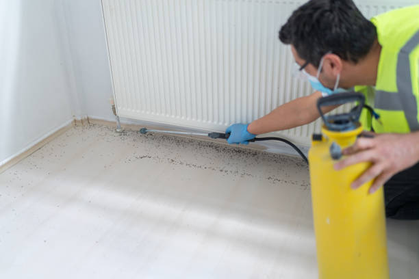 Best Cockroach Control Services  in Reed Creek, GA