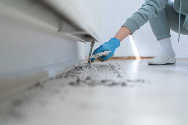  Reed Creek, GA Pest Control Pros