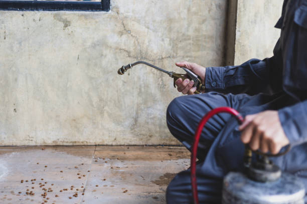 Best Pest Control for Homes  in Reed Creek, GA